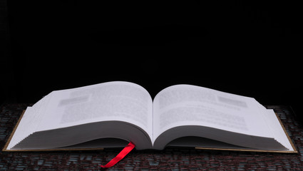 世界上什么树最长寿