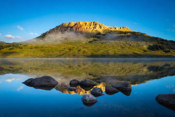 上海植物园几点关门时间