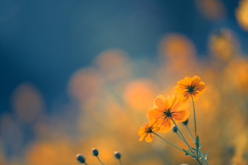 空调到底怎么用最省电？