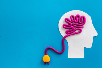 世界上什么树最长寿