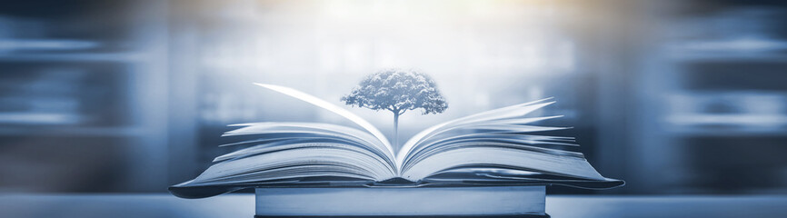 三年级上册脱式算式100道