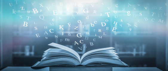 公司高层管理人员岗位职责