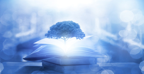 现实倒车入库最简单又准的方法