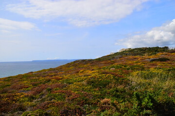靠劳动成功的名人事例有哪些？