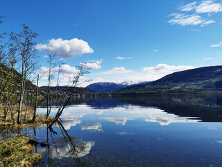 现实倒车入库最简单又准的方法
