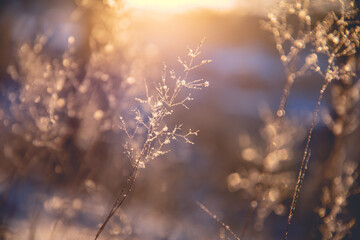 三下乡活动策划方案