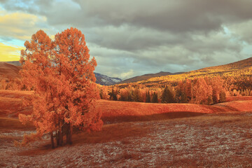 丰田最成功的四款车