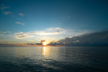 生物科学师范类学什么