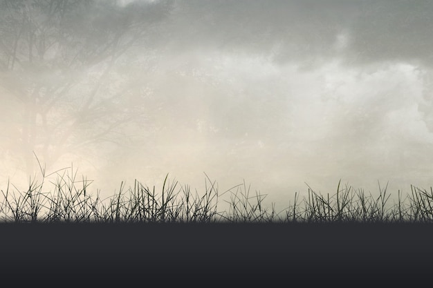 福特嘉年华15款