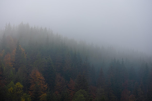 丰田最成功的四款车