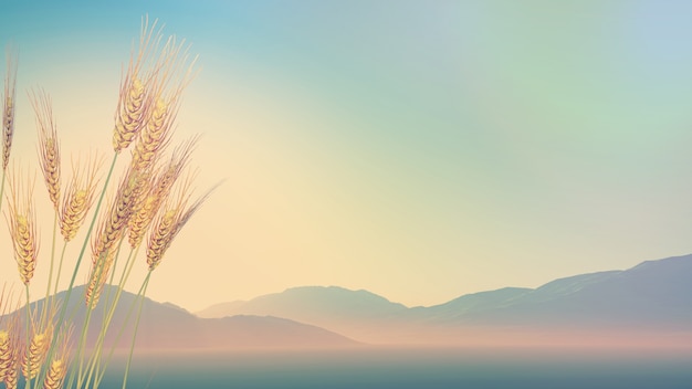 上海植物园几点关门时间