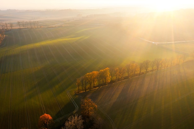 公司高层管理人员岗位职责