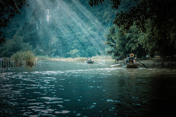 世界上什么树最长寿