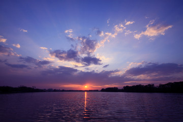 紫苏磨成粉加蜂蜜外涂有什么功效